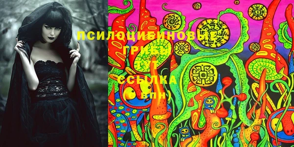 кокс Аркадак