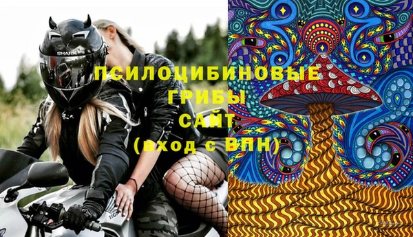 индика Алексин