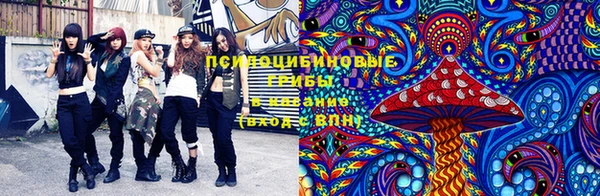 винт Арсеньев